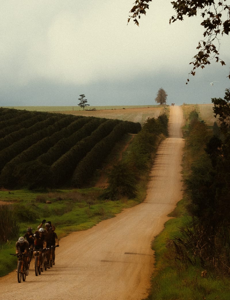 Cape Epic 26 — photo 25