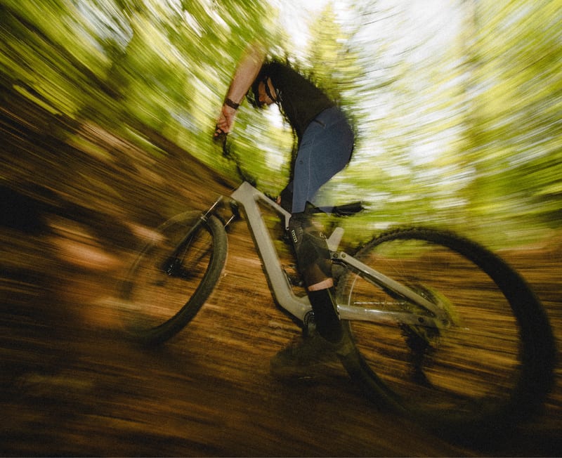 Rose Bikes — photo 3