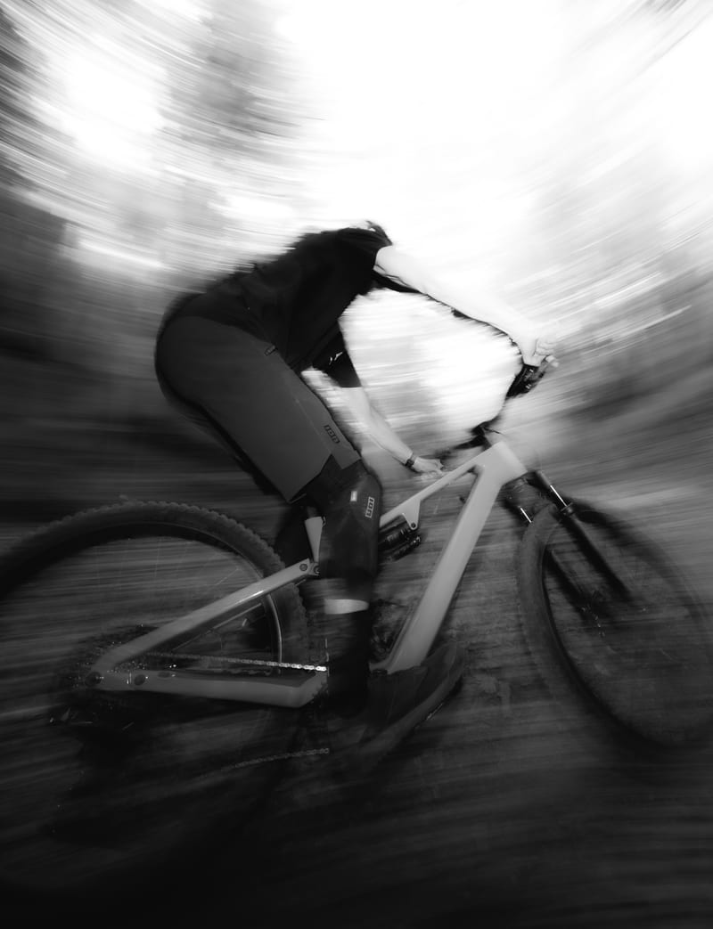 Rose Bikes — photo 4