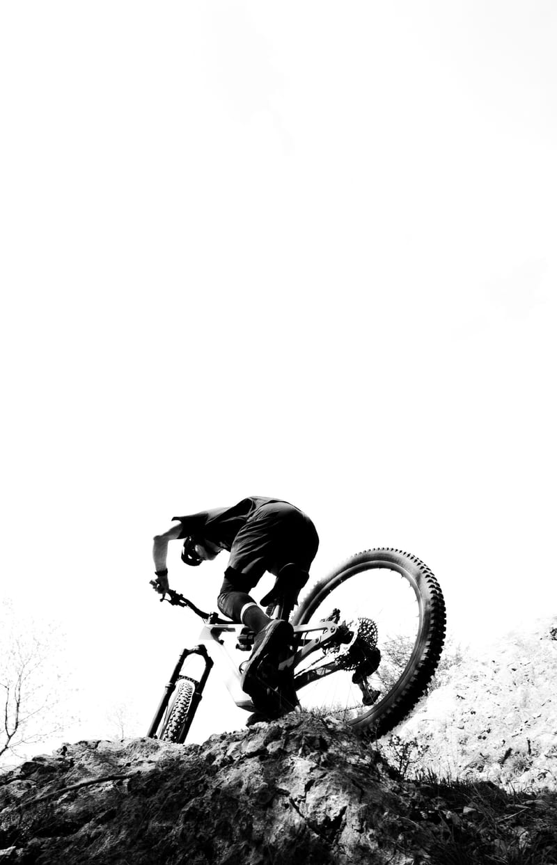 Rose Bikes — photo 8