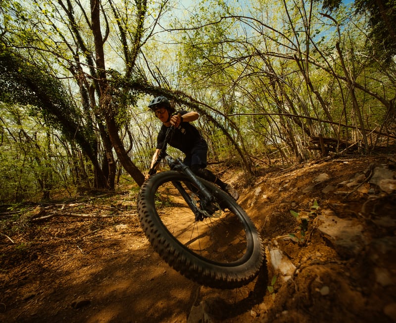 Rose Bikes — photo 10