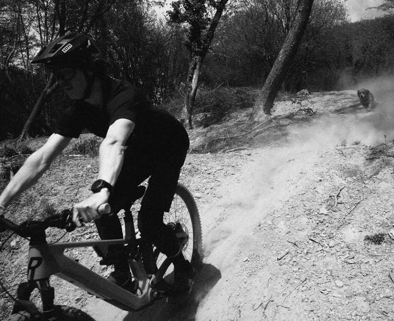Rose Bikes — photo 12