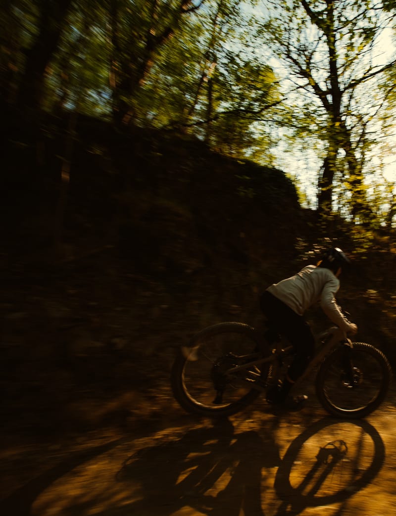 Rose Bikes — photo 19