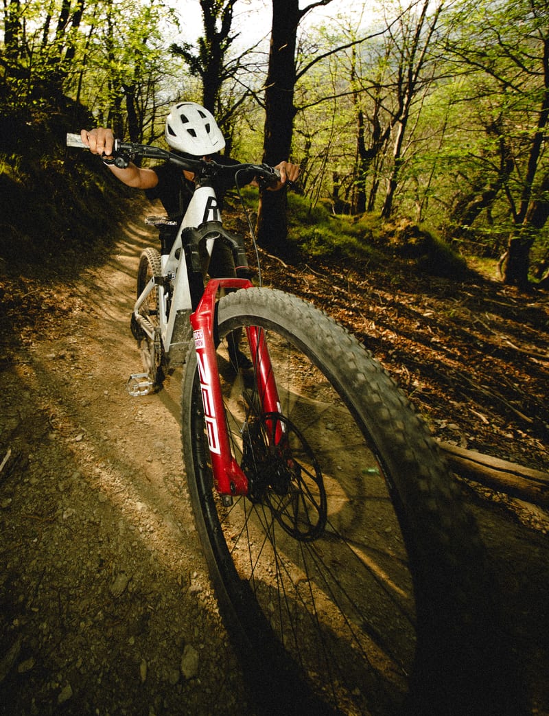 Rose Bikes — photo 21