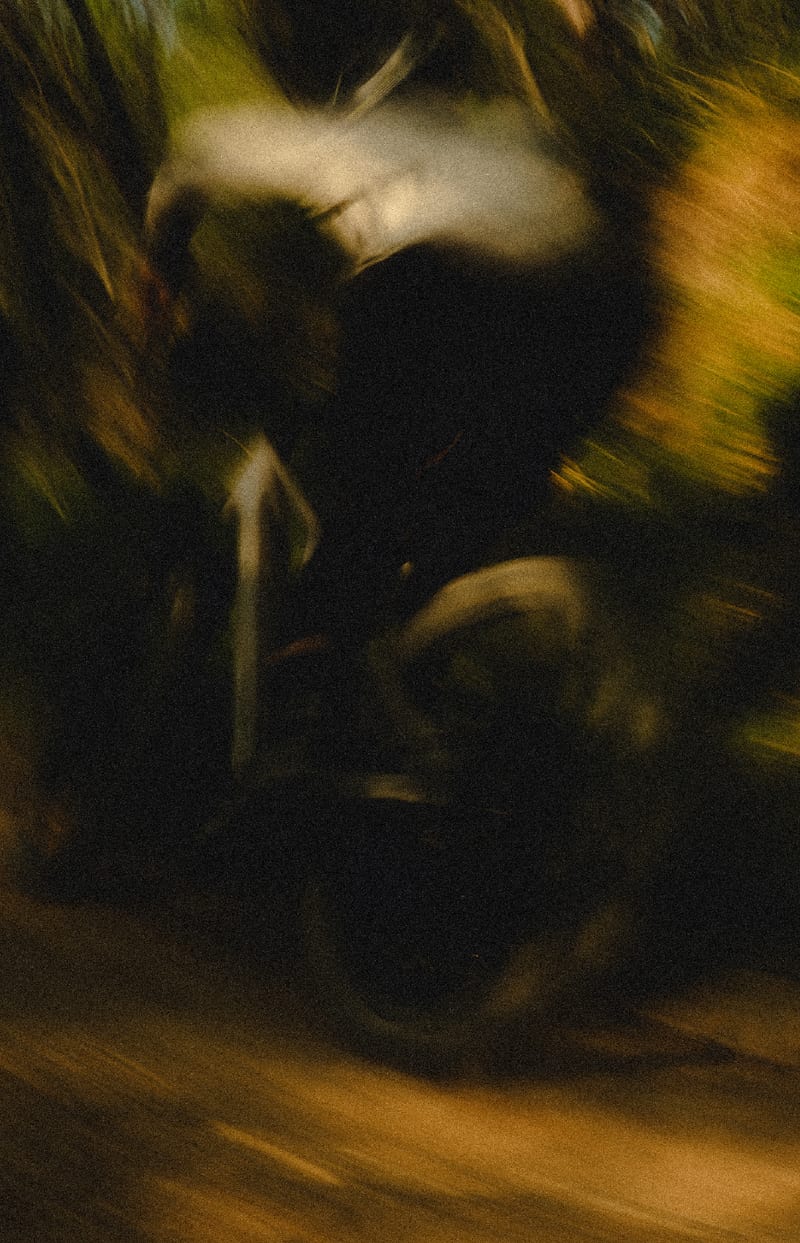 Rose Bikes — photo 24