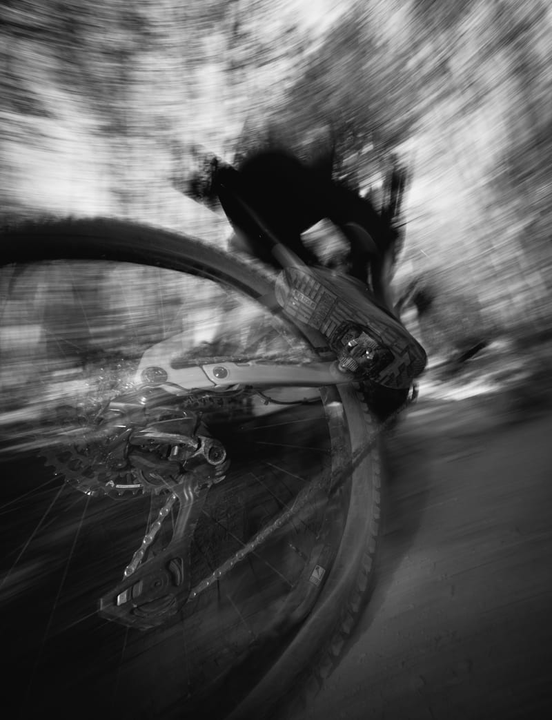 Rose Bikes — photo 25